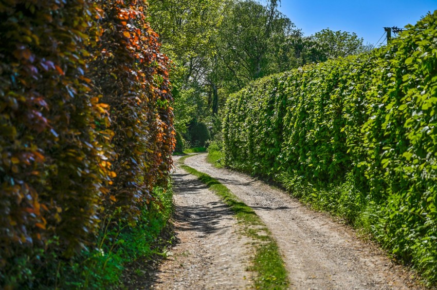 Images for Budd's Lane, Wittersham, TN30 EAID:4216876937 BID:70d66595-8873-4a77-aef9-15962f379483