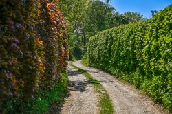 Images for Budd's Lane, Wittersham, TN30