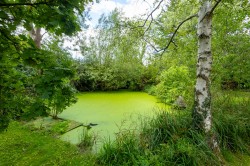 Images for High Halden, Ashford, TN26