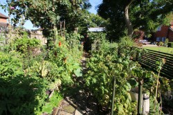 Images for Ashford Road, High Halden, TN26