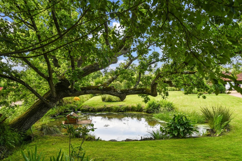 Images for Smarden Road, Biddenden, TN27 EAID:4216876937 BID:70d66595-8873-4a77-aef9-15962f379483