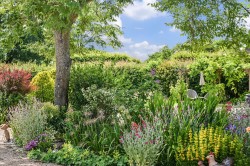 Images for Smarden Road, Biddenden, TN27