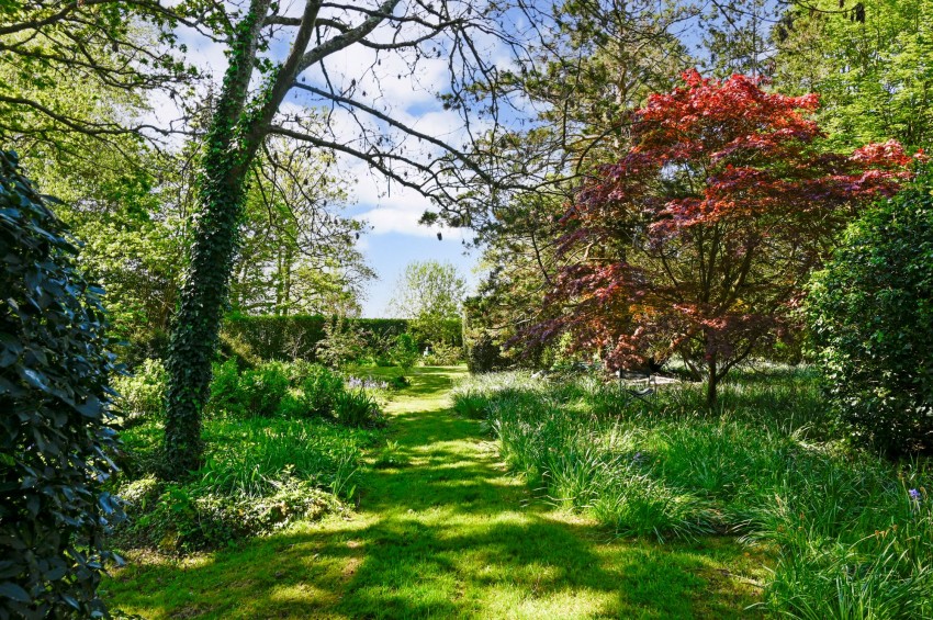 Images for Cranbrook Road, Benenden, TN17 EAID:4216876937 BID:70d66595-8873-4a77-aef9-15962f379483