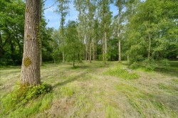 Images for Tenterden Road, Golford, TN17
