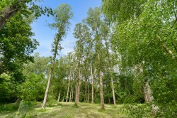 Images for Tenterden Road, Golford, TN17