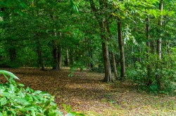Images for Woodchurch Road, Tenterden, TN30