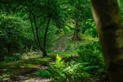 Images for Woodchurch Road, Tenterden, TN30