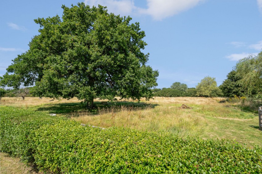 Images for Biddenden Road, Headcorn, TN27 EAID:4216876937 BID:70d66595-8873-4a77-aef9-15962f379483