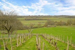 Images for Udimore Road, Udimore, TN31