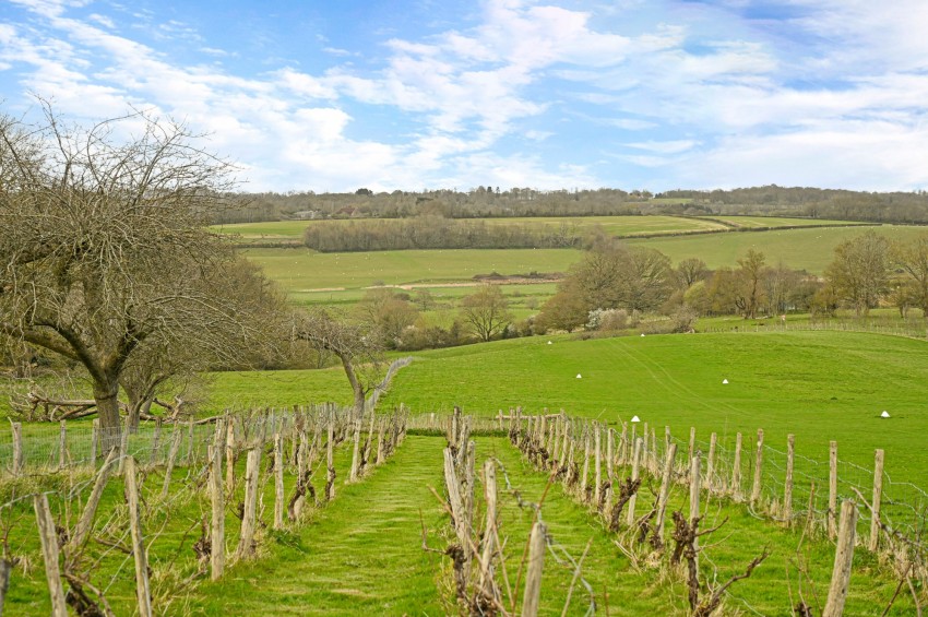 Images for Udimore Road, Udimore, TN31 EAID:4216876937 BID:0ad47bdb-e4d4-4b5e-b876-eed8ba4c2973