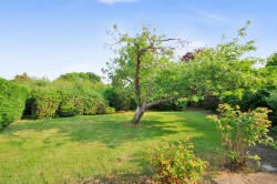 Images for Millfield, High Halden, TN26