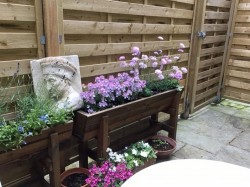 Images for West Cross, Tenterden, TN30