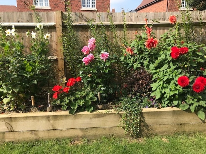 Images for Burgess Drive, Tenterden, TN30 EAID:4216876937 BID:70d66595-8873-4a77-aef9-15962f379483