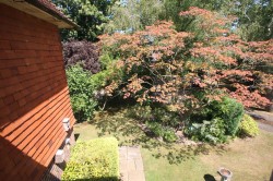 Images for Vineys Gardens, Tenterden, TN30