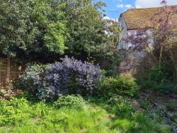 Images for High Street, Rye, TN31