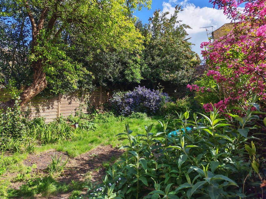 Images for High Street, Rye, TN31 EAID:4216876937 BID:0ad47bdb-e4d4-4b5e-b876-eed8ba4c2973