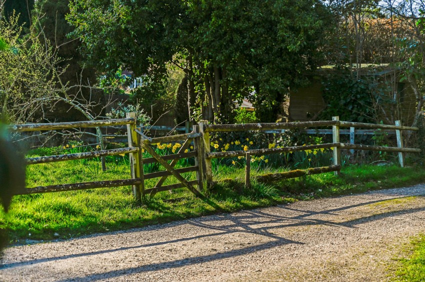 Images for The Street, Wittersham, TN30 EAID:4216876937 BID:70d66595-8873-4a77-aef9-15962f379483