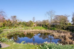 Images for The Street, Wittersham, TN30