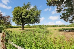 Images for The Street, Wittersham, TN30