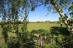 Images for High Halden, Ashford, TN26