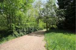 Images for Biddenden, Ashford, TN27
