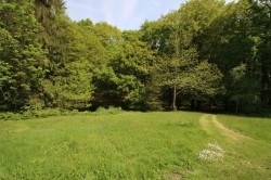 Images for Biddenden, Ashford, TN27