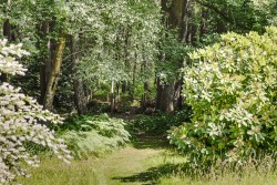 Images for Biddenden, Ashford, TN27