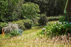 Images for Biddenden, Ashford, TN27