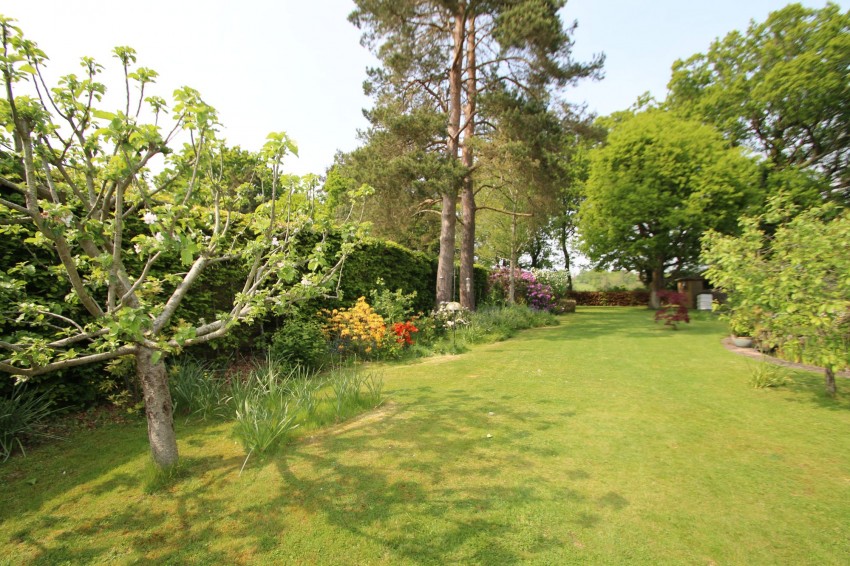 Images for Frensham Road, Rolvenden Layne, TN17 EAID:4216876937 BID:70d66595-8873-4a77-aef9-15962f379483