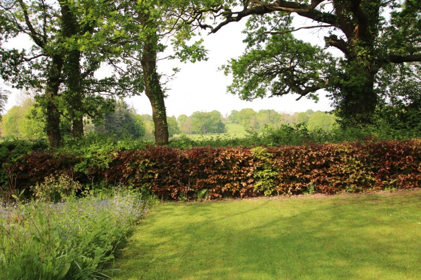 Images for Frensham Road, Rolvenden Layne, TN17 EAID:4216876937 BID:70d66595-8873-4a77-aef9-15962f379483