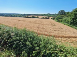 Images for New Road, Northiam, TN31