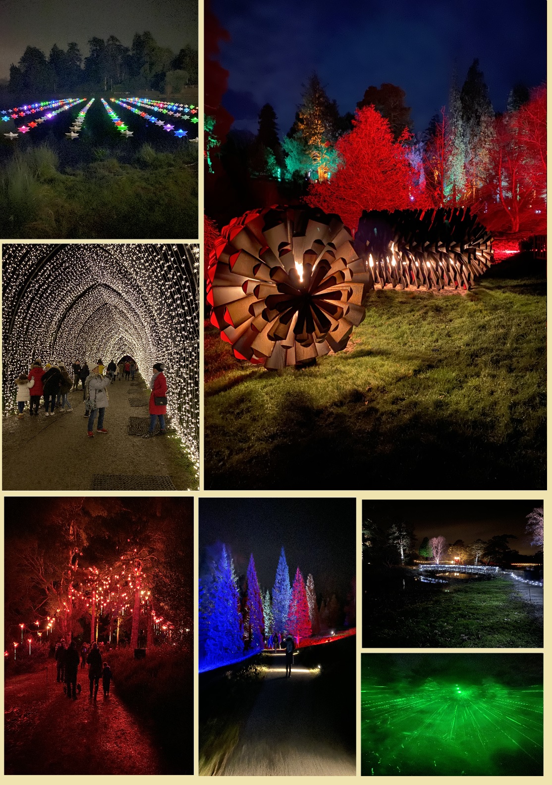 BEDGEBURY PINETUM & FOREST... A VERY MAGICAL TIME OF THE YEAR