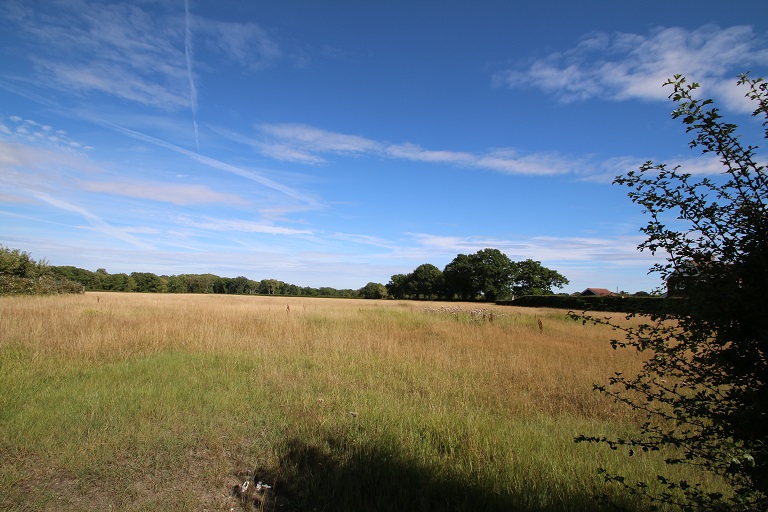 Tenterden 