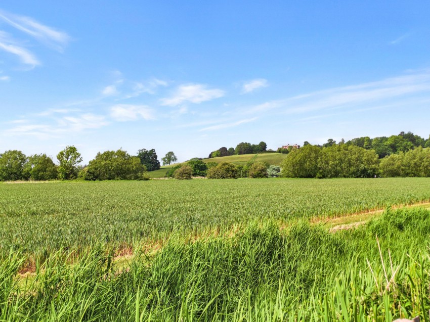 Images for Pottingfield Road, Rye, TN31 EAID:4216876937 BID:0ad47bdb-e4d4-4b5e-b876-eed8ba4c2973