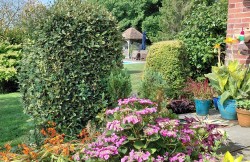 Images for Ludley Hill, Peasmarsh, TN31