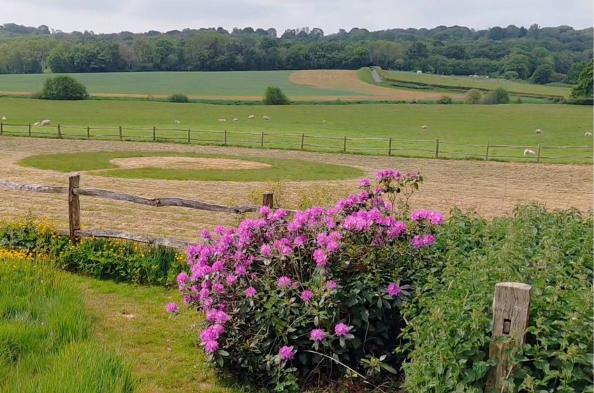 Images for Ludley Hill, Peasmarsh, TN31 EAID:4216876937 BID:0ad47bdb-e4d4-4b5e-b876-eed8ba4c2973