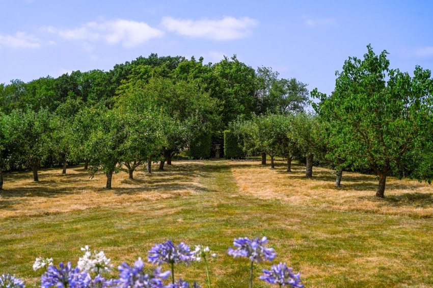Images for Wassall Lane, Rolvenden Layne, TN17 EAID:4216876937 BID:70d66595-8873-4a77-aef9-15962f379483