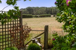 Images for Wassall Lane, Rolvenden Layne, TN17