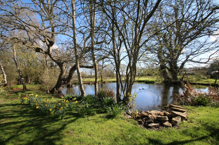 Images for Ashford Road, High Halden, TN26 EAID:4216876937 BID:70d66595-8873-4a77-aef9-15962f379483