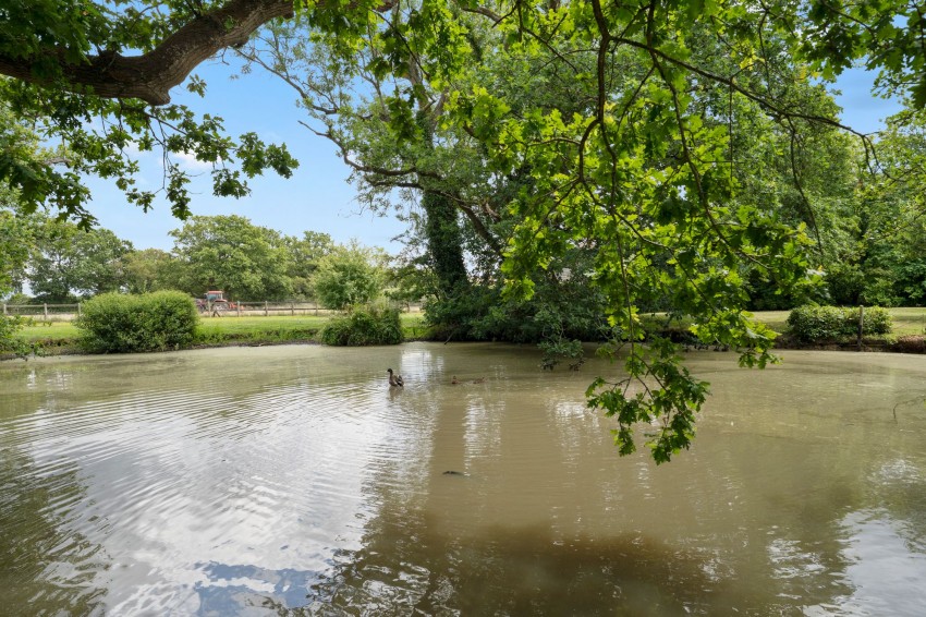 Images for Ashford Road, High Halden, TN26 EAID:4216876937 BID:70d66595-8873-4a77-aef9-15962f379483