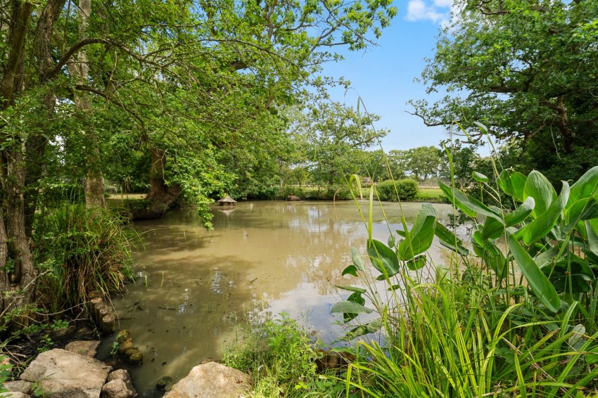 Images for Ashford Road, High Halden, TN26 EAID:4216876937 BID:70d66595-8873-4a77-aef9-15962f379483