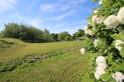 Images for Cuckoo's Pit Lane, Woodchurch, TN26