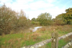 Images for Cuckoo's Pit Lane, Woodchurch, TN26