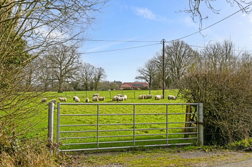 Images for Biddenden, Ashford, TN27 EAID:4216876937 BID:70d66595-8873-4a77-aef9-15962f379483