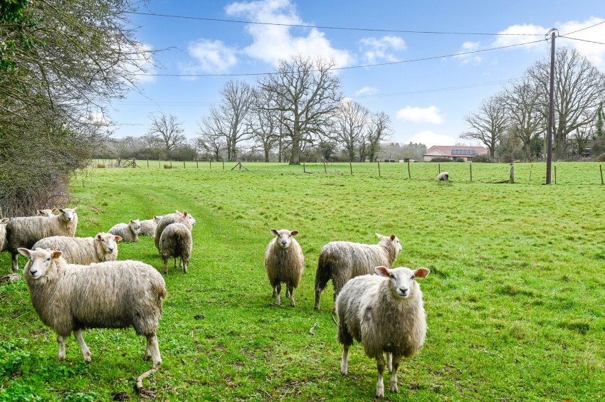 Images for Biddenden, Ashford, TN27 EAID:4216876937 BID:70d66595-8873-4a77-aef9-15962f379483