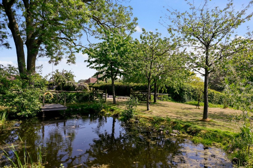 Images for Reading Street, Tenterden, TN30 EAID:4216876937 BID:70d66595-8873-4a77-aef9-15962f379483