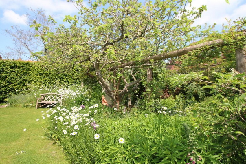 Images for The Green, Woodchurch, TN26 EAID:4216876937 BID:70d66595-8873-4a77-aef9-15962f379483