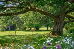 Images for Swain Road, St. Michaels, TN30